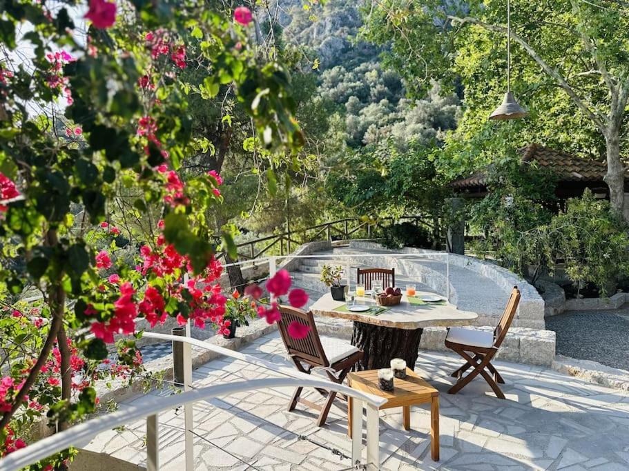 Elia Junior Suite In Epidavros With Shared Pool Néa Epídavros Eksteriør bilde